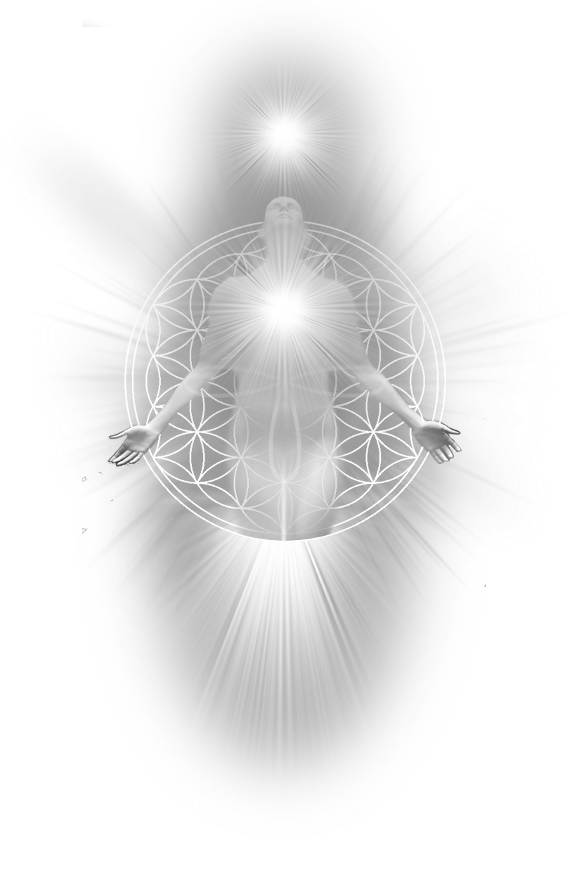 IEA Source of Energy logo
